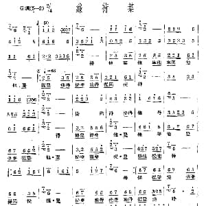 绿荷叶 十番音乐