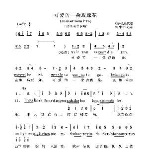 可爱的一朵玫瑰花_歌谱投稿