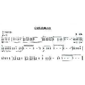 葫芦丝谱 | 拉骆驼的黑小伙 张颂