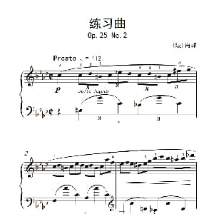 第九级1.练习曲 Op.25 No.2 钢琴谱 波 肖邦