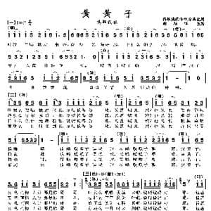 黄黄子_歌曲简谱