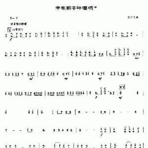 羊毛剪子咔嚓响 笙谱 张之良