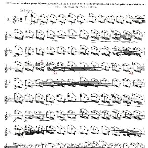 长笛曲谱 | 12首大技巧练习曲之3 Moyse 莫伊斯