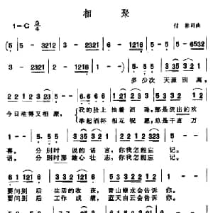 相聚_通俗唱法乐谱_词曲:付林 付林