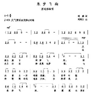 乘梦飞翔_通俗唱法乐谱_词曲:刘鹏 刘续红