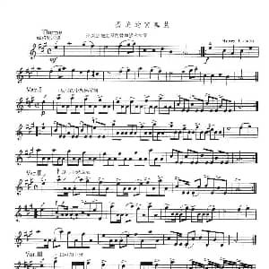 小提琴谱 | 优美的变奏曲