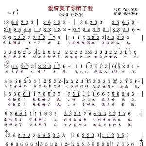 爱情美了你醉了我_歌曲简谱_词曲:轻云望月 轻云望月