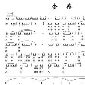 金婚_民歌简谱_词曲:李显青 王激