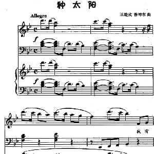 种太阳 钢琴谱 王赴戎/徐沛东