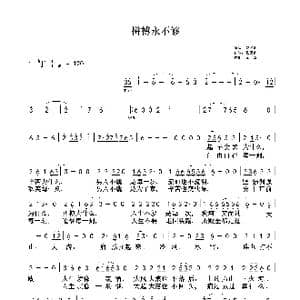 拼搏永不够_歌谱投稿_词曲:张民山 janssen杨森