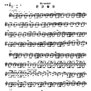 芒尕布尔 冬不拉