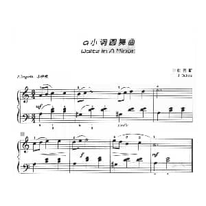 a小调圆舞曲 钢琴谱 杜巴斯