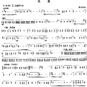 葫芦丝谱 | 月夜