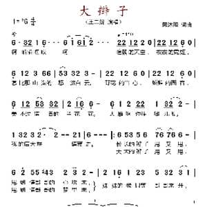 大辫子_歌谱投稿_词曲:何沐阳 何沐阳