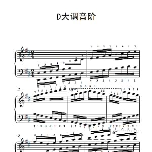 第九级7.D大调音阶 钢琴谱