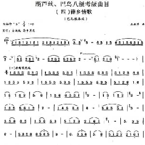 巴乌八级考级曲目 傣乡情歌 王亚军