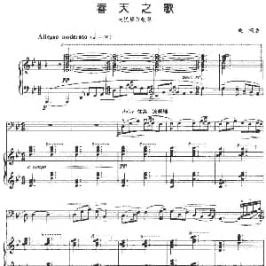 春天之歌 大提琴 钢琴伴奏 桑桐