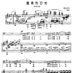 温柔的目光_美声唱法乐谱_词曲:熊达天 丁缨