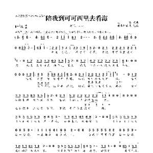 陪我到可可西里去看海_歌曲简谱_词曲:大冰 大冰