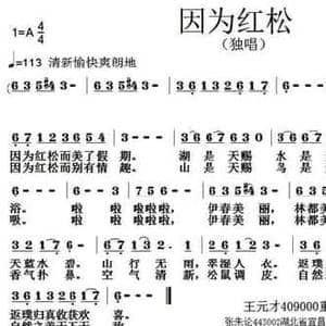 因为红松_民歌简谱_词曲:王元才 张朱论