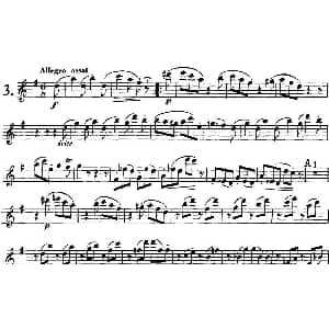 长笛曲谱 | 库劳长笛二重奏练习曲Op.10 Flute 1 No.3 Kuhlau 库劳