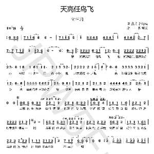 天高任鸟飞_歌曲简谱_词曲:泽国同学 泽国同学