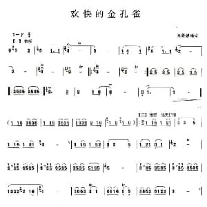 葫芦丝谱 | 欢快的金孔雀 王铁锤