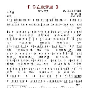 你在我梦里_歌曲简谱_词曲:枫林尽染 绿柳 枫艺