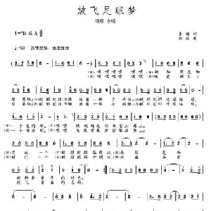 放飞足球梦_通俗唱法乐谱_词曲:金海 刘莎