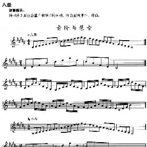 小号考级八级 音阶与琶音 B大调 #g小调