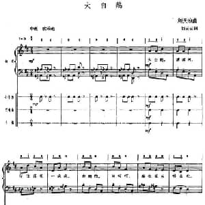 大白鹅_儿歌乐谱_词曲:刘云云 刘天浪