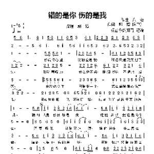 错的是你 伤的是我_歌曲简谱_词曲:郭一橙,陈卫红 陈浩