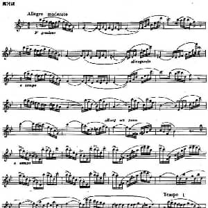 长笛曲谱 | 长笛练习曲100课之第76课 十六分音符的弱起练习曲