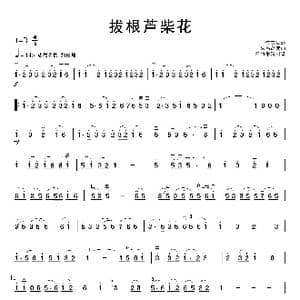 拔根芦柴花_歌曲简谱_词曲: 朱昌耀编曲