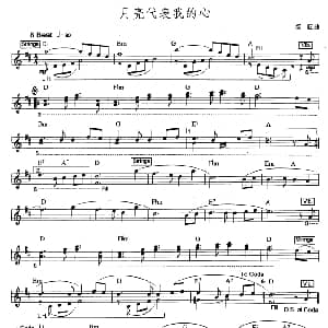 电子琴谱 | 月亮代表我的心 爵士乐版 汤尼