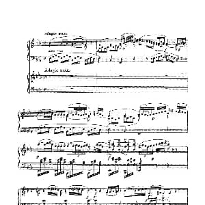 根据21首钢琴奏鸣曲改编的双钢琴版钢琴奏鸣曲四首 钢琴谱 沃尔夫冈 阿玛多伊斯 莫扎特曲 格里格改编