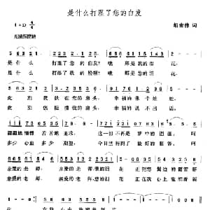是什么打湿了您的白发_儿歌乐谱_词曲:胡宏伟 张玉晶