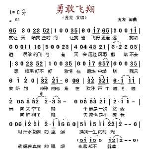 勇敢飞翔_歌谱投稿_词曲:庞龙 庞龙