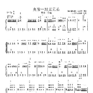 手风琴谱 | 真像一对亲兄弟 手风琴伴奏简谱 李亮