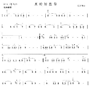 二胡谱 | 真的好想你