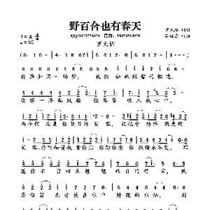 野百合也有春天_歌曲简谱_词曲:罗大佑 罗大佑