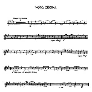 小提琴谱 | Nora Creina 爱尔兰曲调
