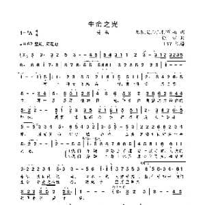 生命之光_歌曲简谱_词曲:陈凯星/阿河/董楠 张朝
