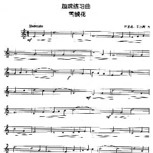趣味练习曲 雪绒花