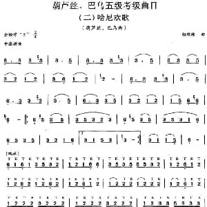 巴乌五级考级曲目 哈尼欢歌 胡结续