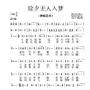 除夕无人入梦_美声唱法乐谱_词曲:晨曼 荣亚楠