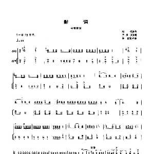 影调 中音板胡 扬琴伴奏谱 刘钧
