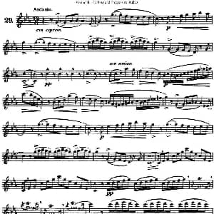 长笛曲谱 | 三十首基础及提高练习曲 NO.29 Garibold 加里波第