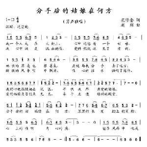 分手后的姑娘在何方_通俗唱法乐谱_词曲:范修奎 赵翔