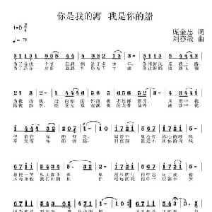 你是我的海 我是你的船_通俗唱法乐谱_词曲:庞金忠 刘亦敏